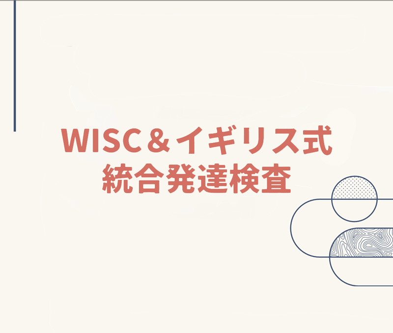 WISC＆イギリス式統合発達検査